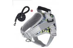 China Pet Safety Harness Leash Easy To Clean Adjustable Buckle For Dogs supplier