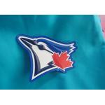 Tear-Resistant Custom Clothing Patches / High Frequency Soft TPU Clothing Labels
