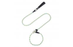 China Pet Nylon Adjustable Leash Explosion-Proof Dog Reflective Integrated Dog Leash supplier