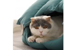China Warm Washable Custom Made Dog Beds For Small Dog Cats supplier