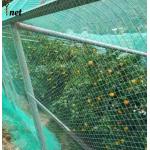 Heavy Duty Bird Proof Net 3cm / 5cm / 7cm / 10cm HDPE Anti Bird Net