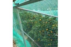 China Heavy Duty Bird Proof Net 3cm / 5cm / 7cm / 10cm HDPE Anti Bird Net supplier