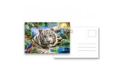 China Animial Image 3d Lenticular Card For Children With Tiger supplier