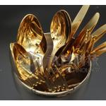 ZrN PVD Gold Coating Machine, Zirconium Nitride Gold Coating Service