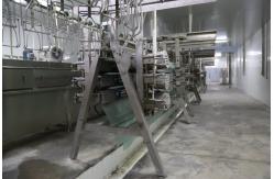 China Chicken Plucker Machine Small Poultry Abbatoir Poultry(pollos) Meat Processing Chicken Processing Equipment supplier
