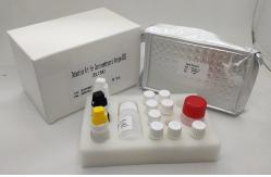 China High Sensitive CEA Elisa Kit Detection Human Carcinoembryonic Antigen supplier