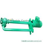 Highly Efficient Submersidle Slurry Pump20m³/h~135m³/h TRYZ Series