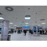 Ceiling Tiles Micro Perforated Wood Panels Soundproof Acoustic Interior Decorated Board for sale