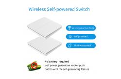 China 16A 433Mhz Wireless Kinetic Energy Switch 2 Way Push Button Waterproof Light Switch supplier