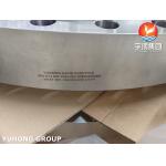 ASME SA182 F310 Stainless Steel Flange For Pipeline System PT / UT for sale