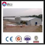 CE Broiler Chicken Cage System Pan Feeding System For Poultry Farming for sale