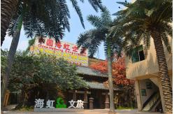 China Areca Palm manufacturer