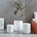 Unleash Your Creativity with Versatile Fiber Clay Planters for Your Plant Arrangements