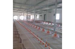 China Broiler Poultry Nipple Drinker System For Chicken supplier
