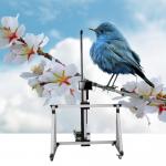 Wall And Floor UV Inkjet Printer Vertical Robot Wall Mural Printer Machine for sale