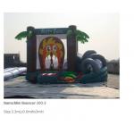 Inflatable Bouncer / Bouncer hous for sale