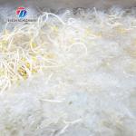 Single cylinder fruit and vegetable washing machine with slag separator Leaves Vegetables Onions Leafy vegetables Cabbage varieties Herbs Fruiting vegetables Wash Washer Washing Cleaning processing
