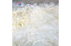 China Advanced Fruit And Vegetable Processing Line for Your Processing Needs supplier