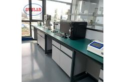 China Fixed Structure Chemistry Lab Workbench Chemical Lab Workstation Paint Surface supplier