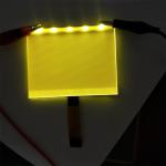 Customized COG LCD Display Dot Matrix Liquid Crystal Display FSTN Transflective