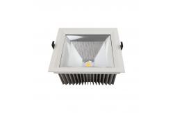 China COB Square LED Downlight IP65 External Current LED Driver 10W 20W 30W 40W supplier