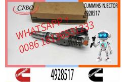 China 4903472 4928517 3411845 402622200PX Injector QSM11 QSM11-C R455LC-7 OEM supplier