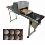 Digital Egg Jet Coding Machine Maintenance - Free With Pink / Green Food Grade Ink for sale