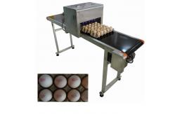 China Digital Egg Jet Coding Machine Maintenance - Free With Pink / Green Food Grade Ink supplier