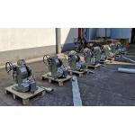 5 Ton 5000 Pcs/H Home Single Punch Tdp 5 Tablet Press Machine