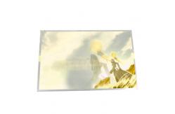 China New 27.0 inch 2560*1440 LCD Module M270DAN08.2 lcd screen supplier