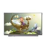 15.6 Inch Laptop LCD Panel Screen B156ZAN02.0 For Dell lcd screen for sale