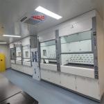 Customized PP Fume Hood with Scrubbers for Laboratory & Hospital  220V Voltage for sale