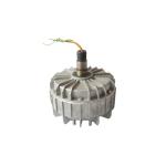 High Power Density EC Motor with Customizable Speed and IP55 Protection for HVAC & Pump Systems for sale