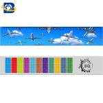 3d Or Flip Change Custom Printed Plastic Rulers For Kid Stationery