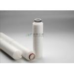 Hydrophilic PTFE Sterile Pleated Filter 0.22 0.45 0.3 Micron for sale