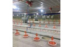 China Computerized Chicken Pan Feeder PVC Pipe Chicken Feeders And Water Systems supplier