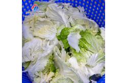 China 2KW  Leaf Vegetable Processing Machine Fruit Dehydrator Machine supplier