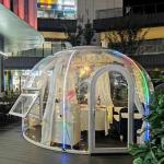 Transparent 6m Geodesic Dome House With PC Aluminum Construction for sale