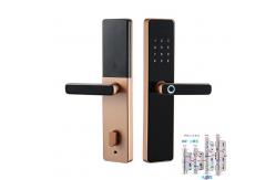 China 6068 Mortise Fingerprint Doorlock Tuya TTlock Wifi APP Optional supplier
