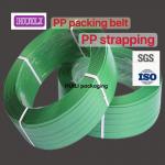China PET strapping 12-25mm automatic PP PET strapping with pneumatic strapping tools for sale