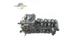 China Fuel Injection Pump 0403466154 3926880 0403466156 3926881 for 6CT 6CT8.3 supplier
