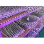 Waterproof DC5V Led Grid Display For Glass Window Building for sale