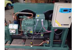 China Unit - Spb23kl   Air Cooled Condenser for Model 4Ges-23y Refrigeration Condensing Unit supplier