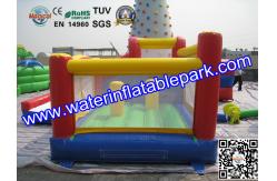 China Professional Inflatable Bouncy Castle Combo 1500D PVC  with Slide supplier