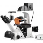Inverted Fluorescence Led Digital Microscope for sale