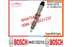 China BOSCH 0445120218 51101006125 Neutral Fuel Injector Assembly 0445120218 51101006125 For MAN supplier