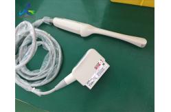 China Endocavity Array Ultrasound Transducer Probe Toshiba PVU-781VT supplier