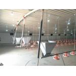 Water Line Automatic Pan Feeding System Chicken Poultry Nipple Drinking Equipment
