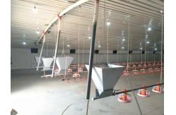 China Chicken Farm Chain Automatic Pan Feeding System 1 Phase supplier