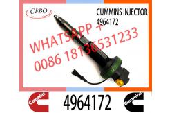 China Diesel injector assembly 2861749 4964170 4964171 4955525 4964172 for QSK19 supplier